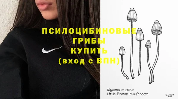 гашик Абдулино