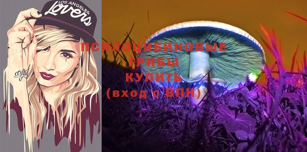 гашик Абдулино