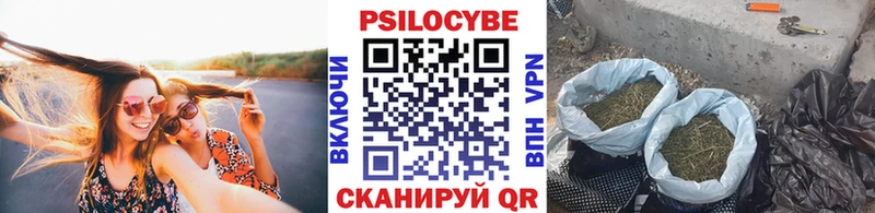 Псилоцибиновые грибы MAGIC MUSHROOMS  Александровск 
